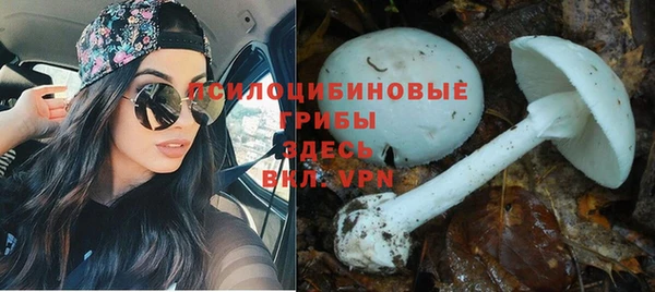 ALPHA PVP Алзамай